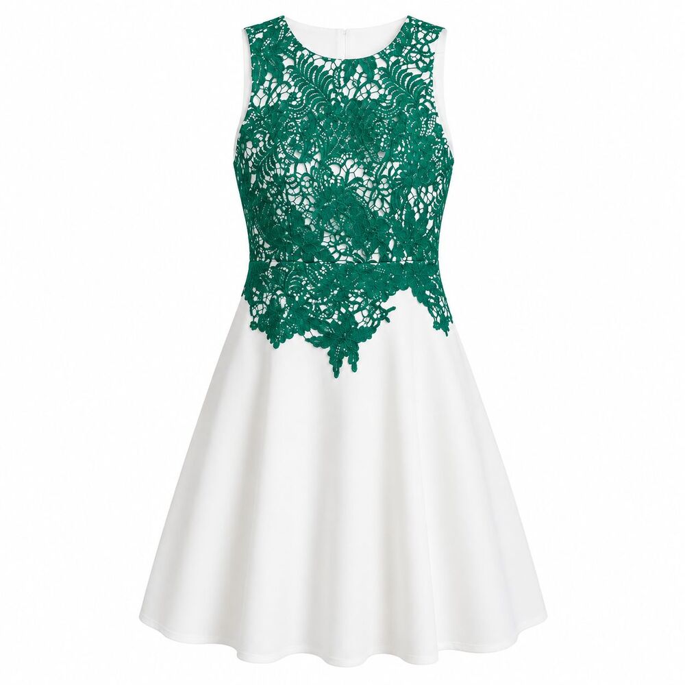 Anthropologie Moulinette Soeurs Arbor Lace Dress Green White Size 2 Fit & Flare